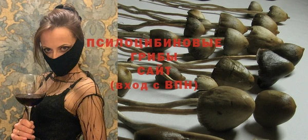 мескалин Няндома