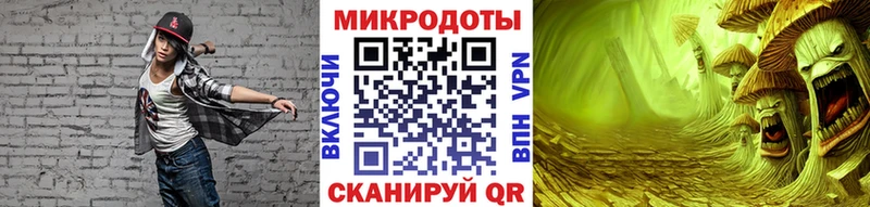 Псилоцибиновые грибы прущие грибы Западная Двина